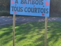 bambois